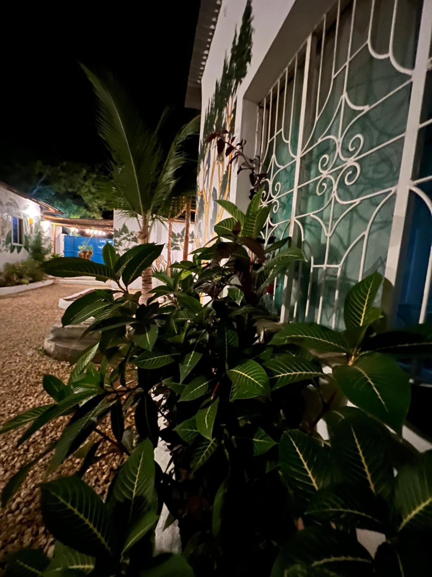 Hotel Wannas House Nungwi Exterior foto